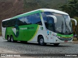 Pássaro Verde 11103 na cidade de Ouro Preto, Minas Gerais, Brasil, por Daniel Gomes. Número da foto: #6870588.