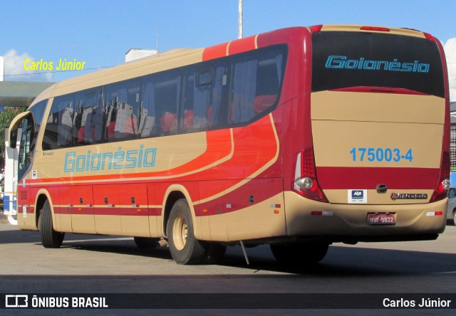 Auto Viação Goianésia 175003-4 na cidade de Goiânia, Goiás, Brasil, por Carlos Júnior. Número da foto: #6934148.