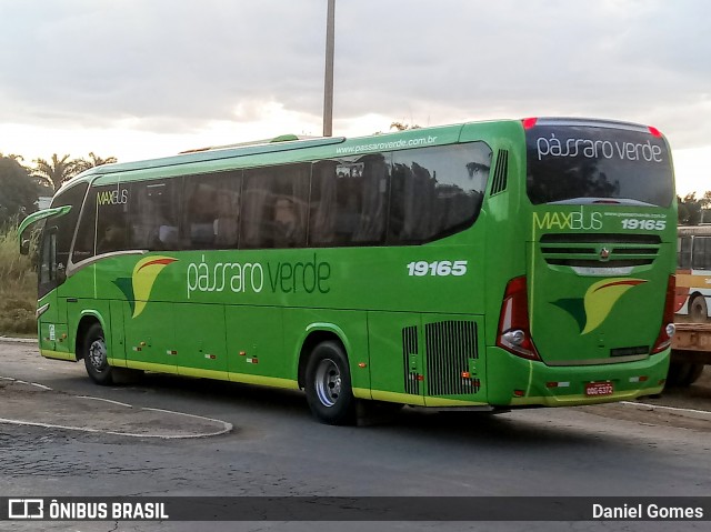 Pássaro Verde 19165 na cidade de Ouro Preto, Minas Gerais, Brasil, por Daniel Gomes. Número da foto: #6961446.