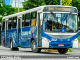 Transportadora Globo 202 na cidade de Recife, Pernambuco, Brasil, por Gabriel Polarii. ID da foto: :id.