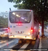 Rosa Turismo 1019 na cidade de Vitória da Conquista, Bahia, Brasil, por João Gabriel Gonçalves da Rocha. Número da foto: #6963054.
