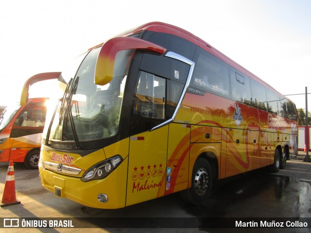 Bus Sur Malvina na cidade de San Bernardo, Maipo, Metropolitana de Santiago, Chile, por Martín Muñoz Collao. ID da foto: 6965094.