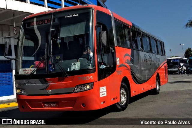 Empresa de Ônibus Pássaro Marron 7901 na cidade de Aparecida, São Paulo, Brasil, por Vicente de Paulo Alves. ID da foto: 6967297.