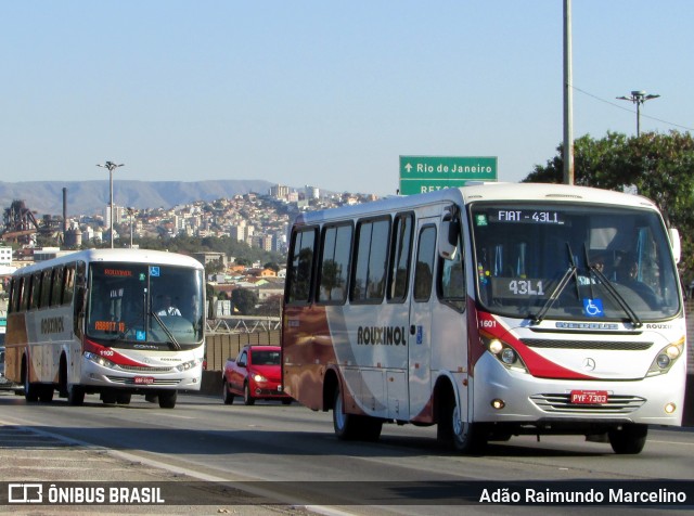 Rouxinol 1601 na cidade de Belo Horizonte, Minas Gerais, Brasil, por Adão Raimundo Marcelino. ID da foto: 6967525.