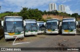 Empresa Gontijo de Transportes 20185 na cidade de Belo Horizonte, Minas Gerais, Brasil, por Jacy Emiliano. Número da foto: #6969835.