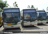 Empresa Gontijo de Transportes 12360 na cidade de Belo Horizonte, Minas Gerais, Brasil, por Jacy Emiliano. Número da foto: #6969740.