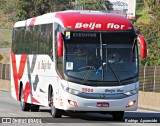 Beija Flor Turismo 5884 na cidade de Aparecida, São Paulo, Brasil, por Rodrigo  Aparecido. Número da foto: #6969867.
