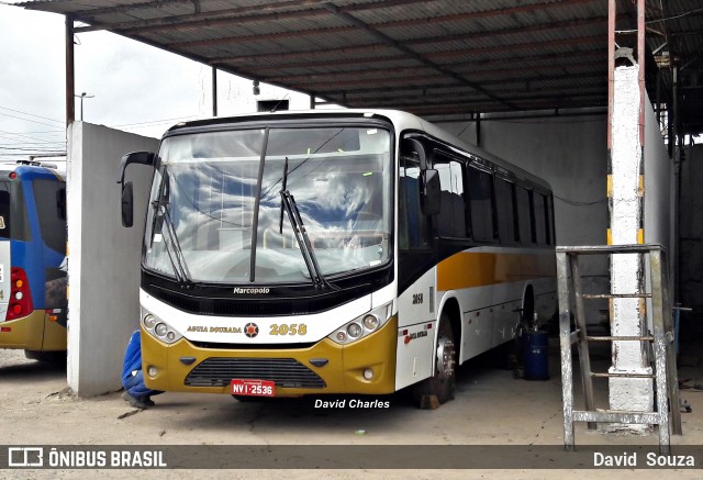 Águia Dourada 2058 na cidade de Aracaju, Sergipe, Brasil, por David  Souza. ID da foto: 6971840.