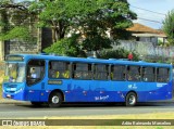 Rodopass > Expresso Radar 40342 na cidade de Belo Horizonte, Minas Gerais, Brasil, por Adão Raimundo Marcelino. Número da foto: #6972359.