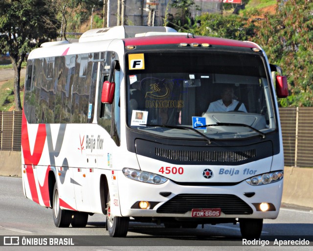 Beija Flor Turismo 4500 na cidade de Aparecida, São Paulo, Brasil, por Rodrigo  Aparecido. ID da foto: 6975281.