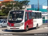 Transwolff Transportes e Turismo 7 8009 na cidade de São Paulo, São Paulo, Brasil, por Felipe Goncalves do Vale. Número da foto: #:id.