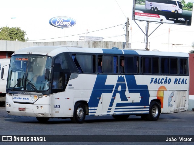 Falcão Real 1035 na cidade de Feira de Santana, Bahia, Brasil, por João Victor. ID da foto: 6981226.