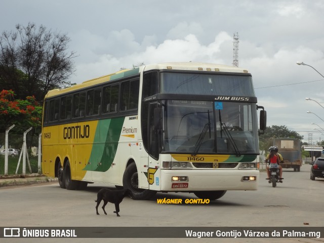 Empresa Gontijo de Transportes 11460 na cidade de Várzea da Palma, Minas Gerais, Brasil, por Wagner Gontijo Várzea da Palma-mg. Número da foto: #6982867.