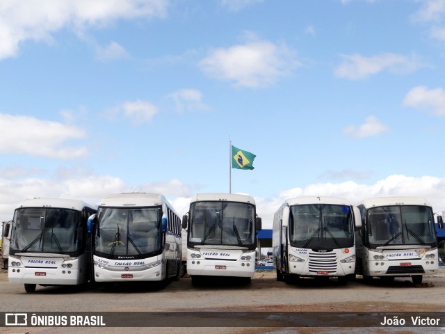 Falcão Real GARAGEM JUAZEIRO/BA na cidade de Juazeiro, Bahia, Brasil, por João Victor. Número da foto: #6982794.