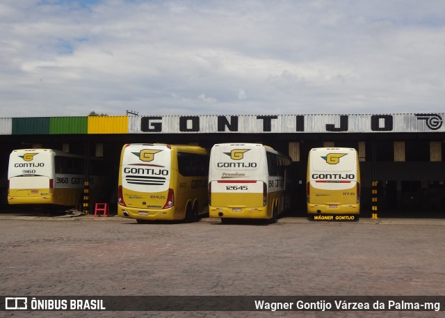 Empresa Gontijo de Transportes 11735 na cidade de Pirapora, Minas Gerais, Brasil, por Wagner Gontijo Várzea da Palma-mg. ID da foto: 6982825.