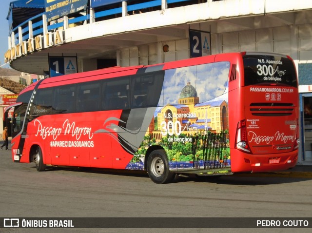 Empresa de Ônibus Pássaro Marron 5960 na cidade de Aparecida, Paraíba, Brasil, por PEDRO COUTO. ID da foto: 6982031.