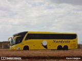 Viação Nordeste 1960 na cidade de Mossoró, Rio Grande do Norte, Brasil, por Otavio Adalgisio. Número da foto: #6982461.