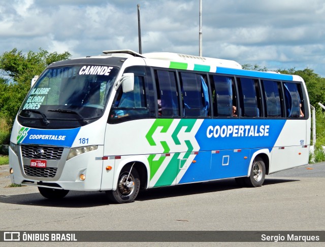 Coopertalse 181 na cidade de Aracaju, Sergipe, Brasil, por Sergio Marques . ID da foto: 6938084.