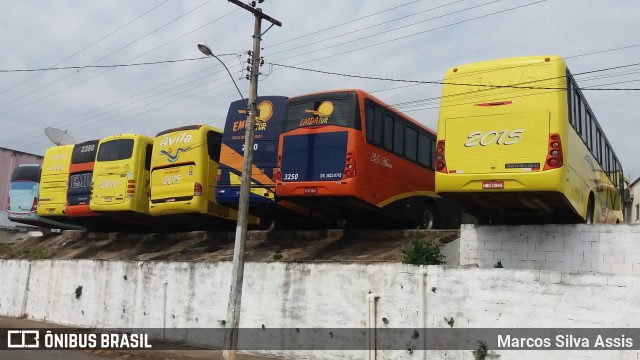 Viação Ávila 2015 na cidade de Lavras, Minas Gerais, Brasil, por Marcos Silva Assis. ID da foto: 6989403.