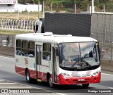 Empresa de Ônibus Pássaro Marron 3002 na cidade de Aparecida, São Paulo, Brasil, por Rodrigo  Aparecido. Número da foto: #6994750.