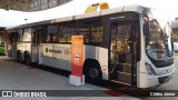 Marcopolo TORINO 15M na cidade de Brasília, Distrito Federal, Brasil, por Clébio Júnior. Número da foto: #6997236.