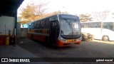 Ônibus Particulares 4626 na cidade de Holambra, São Paulo, Brasil, por gabriel maciel. Número da foto: #6996380.