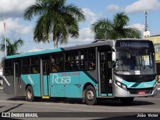 Rosa Feira de Santana 15567 na cidade de Feira de Santana, Bahia, Brasil, por João Victor. ID da foto: 7001858.