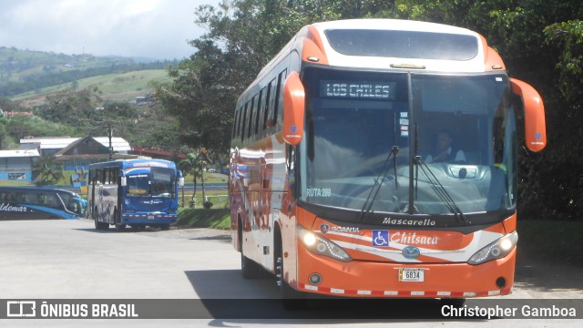 Chilsaca S.A. AB 6834 na cidade de Quesada, San Carlos, Alajuela, Costa Rica, por Christopher Gamboa. Número da foto: #7002069.