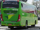Pássaro Verde 19159 na cidade de Belo Horizonte, Minas Gerais, Brasil, por Adão Raimundo Marcelino. Número da foto: #7005729.