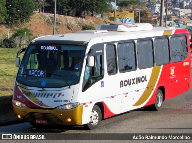 Rouxinol 590 na cidade de Belo Horizonte, Minas Gerais, Brasil, por Adão Raimundo Marcelino. ID da foto: 7009270.