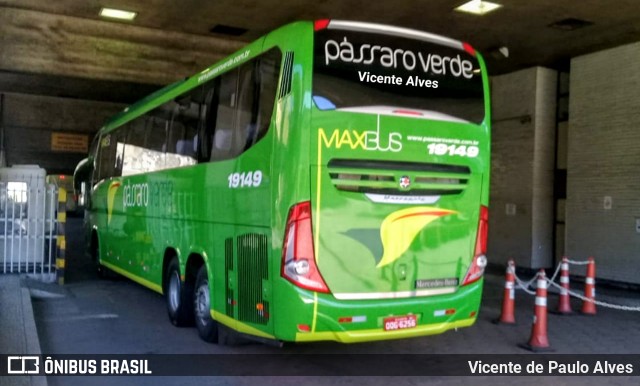 Pássaro Verde 19149 na cidade de Belo Horizonte, Minas Gerais, Brasil, por Vicente de Paulo Alves. Número da foto: #7013855.
