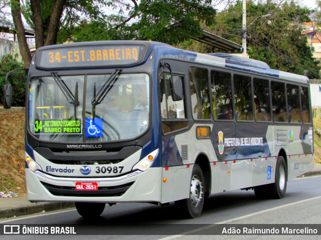 Viação Zurick 30987 na cidade de Belo Horizonte, Minas Gerais, Brasil, por Adão Raimundo Marcelino. ID da foto: 7014248.