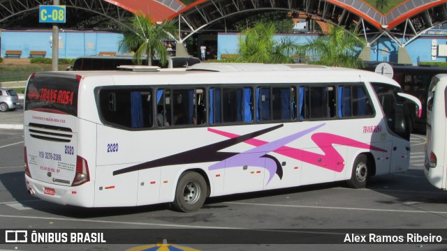 Trans Rosa 2020 na cidade de Aparecida, São Paulo, Brasil, por Alex Ramos Ribeiro. Número da foto: #7014185.
