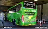 Pássaro Verde 19149 na cidade de Belo Horizonte, Minas Gerais, Brasil, por Vicente de Paulo Alves. Número da foto: #7013855.