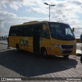 Grou Viagens e Turismo 9984 na cidade de Vera Cruz, Bahia, Brasil, por Michel Nowacki. Número da foto: #7014466.