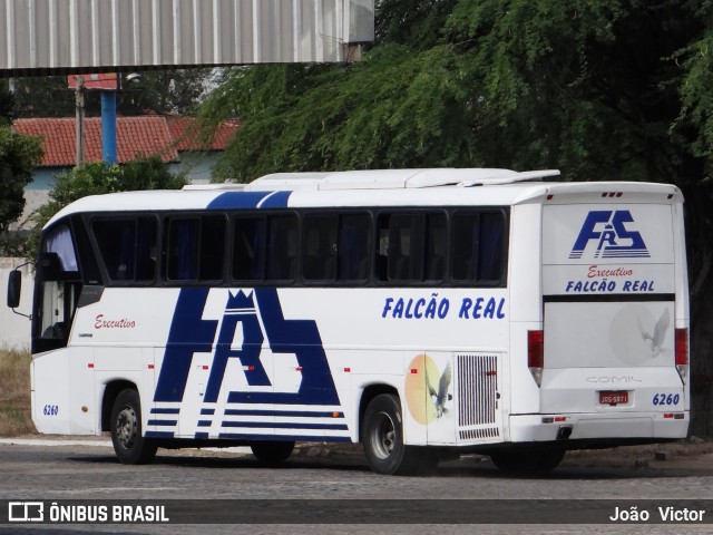 Falcão Real 6260 na cidade de Juazeiro, Bahia, Brasil, por João Victor. Número da foto: #7017228.