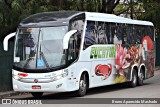 Eucatur - Empresa União Cascavel de Transportes e Turismo 4922 na cidade de São Paulo, São Paulo, Brasil, por Bruno Aparecido Machado. Número da foto: #:id.