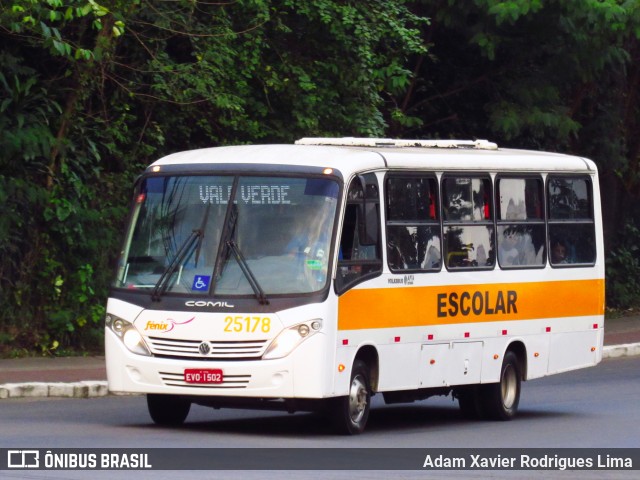 Rápido Expresso Fênix Viação 25178 na cidade de Cubatão, São Paulo, Brasil, por Adam Xavier Rodrigues Lima. Número da foto: #7019238.