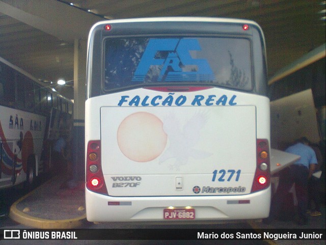 Falcão Real 1271 na cidade de Salvador, Bahia, Brasil, por Mario dos Santos Nogueira Junior. ID da foto: 6944630.