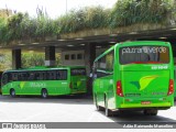 Pássaro Verde 19168 na cidade de Belo Horizonte, Minas Gerais, Brasil, por Adão Raimundo Marcelino. Número da foto: #6947336.