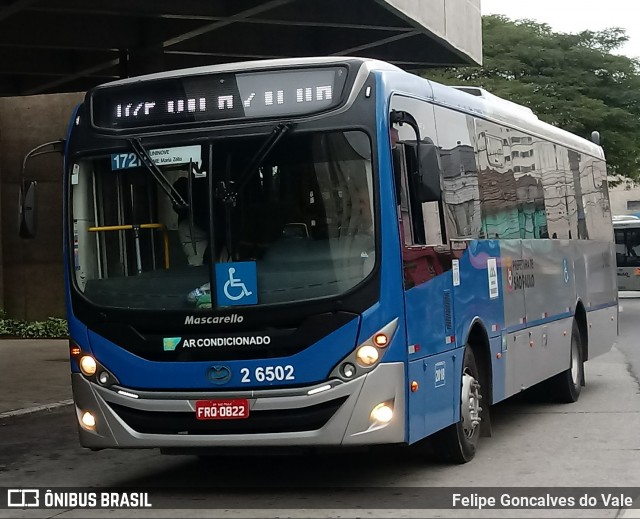 Transcooper > Norte Buss 2 6502 na cidade de São Paulo, São Paulo, Brasil, por Felipe Goncalves do Vale. Número da foto: #6949165.