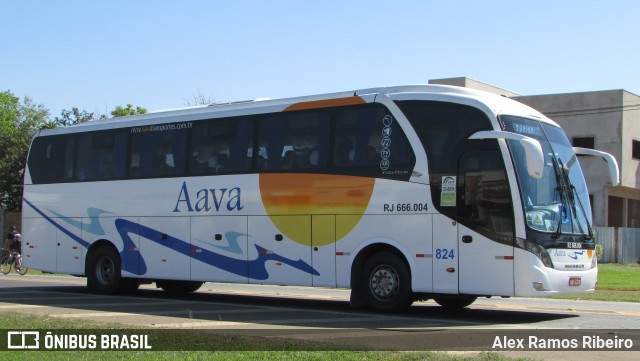 Aava 824 na cidade de Holambra, São Paulo, Brasil, por Alex Ramos Ribeiro. Número da foto: #6953194.