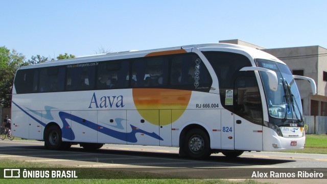 Aava 824 na cidade de Holambra, São Paulo, Brasil, por Alex Ramos Ribeiro. ID da foto: 6953194.