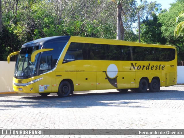 Viação Nordeste 1950 na cidade de Fortaleza, Ceará, Brasil, por Fernando de Oliveira. Número da foto: #6954489.