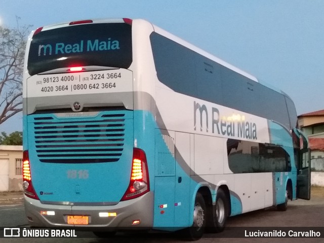 Real Maia 1816 na cidade de Teresina, Piauí, Brasil, por Lucivanildo Carvalho. Número da foto: #7048700.