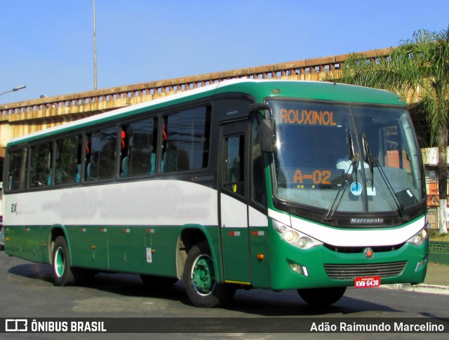 Rouxinol 1510 na cidade de Contagem, Minas Gerais, Brasil, por Adão Raimundo Marcelino. ID da foto: 7049256.