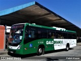 Viação Galo Branco RJ 181.006 na cidade de Niterói, Rio de Janeiro, Brasil, por Patrick Mouzer. Número da foto: #:id.