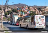 Viação Torres 20781 na cidade de Belo Horizonte, Minas Gerais, Brasil, por Ailton Santos. Número da foto: #:id.