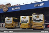 Empresa Gontijo de Transportes 14380 na cidade de Paraíba do Sul, Rio de Janeiro, Brasil, por Heloir Calvete. Número da foto: #7051471.