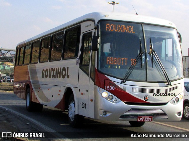 Rouxinol 1530 na cidade de Belo Horizonte, Minas Gerais, Brasil, por Adão Raimundo Marcelino. ID da foto: 7056942.